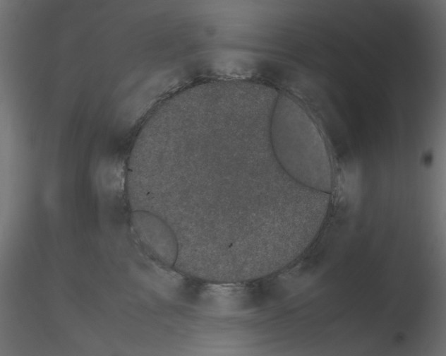 X0000116600713200912312057