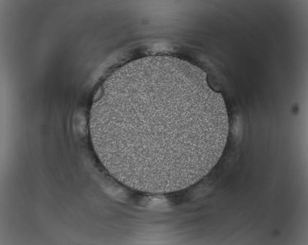 X0000116600715200912312057