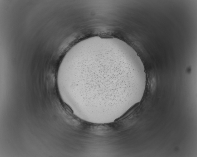 X0000116600716200912312057