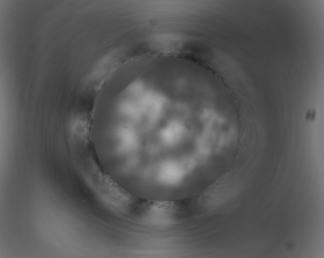 X0000116600720200912312057