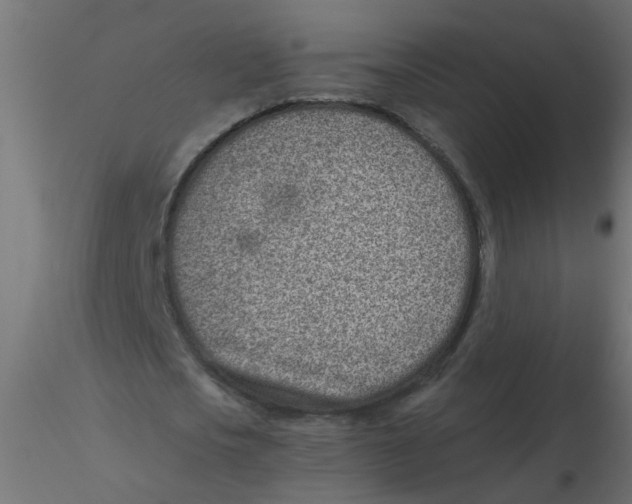 X0000116600721200912312056