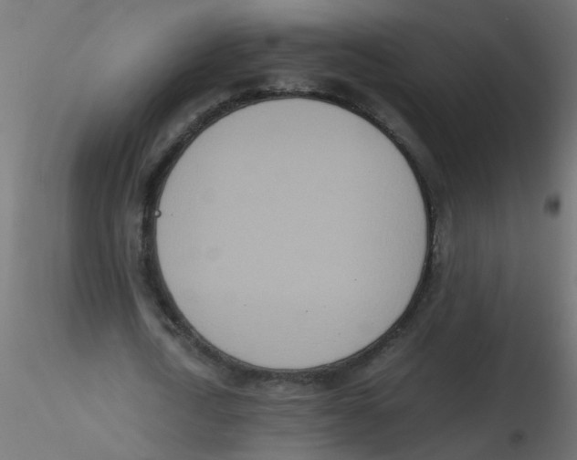 X0000116600722200912312056