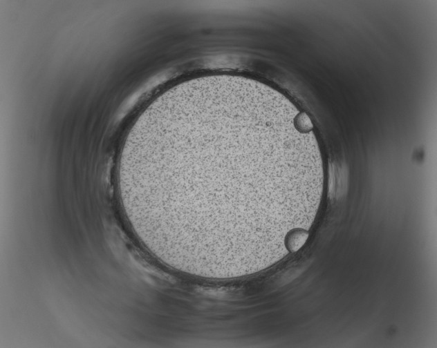 X0000116600723200912312056