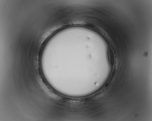 X0000116600725200912312056