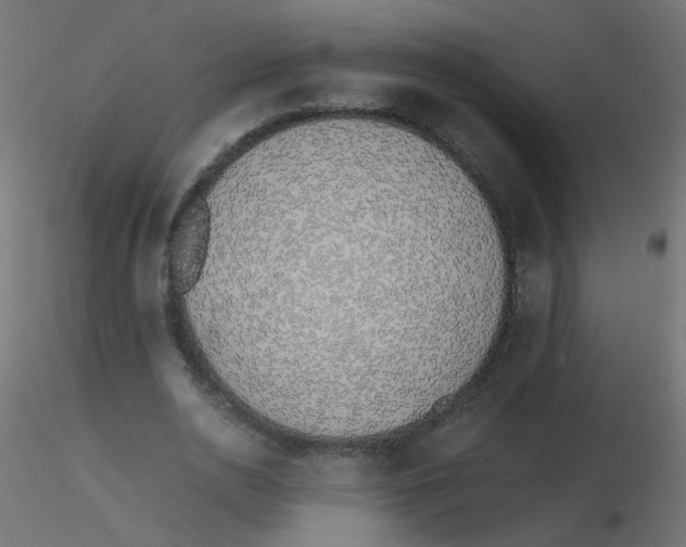 X0000116600726200912312056