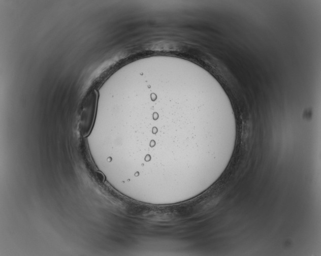 X0000116600727200912312056