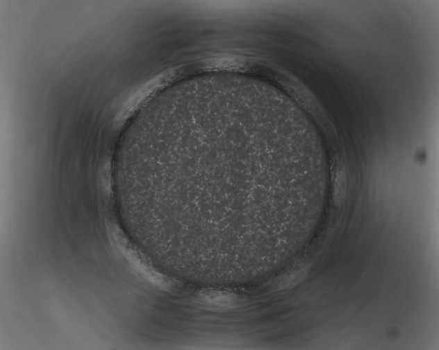 X0000116600729200912312056