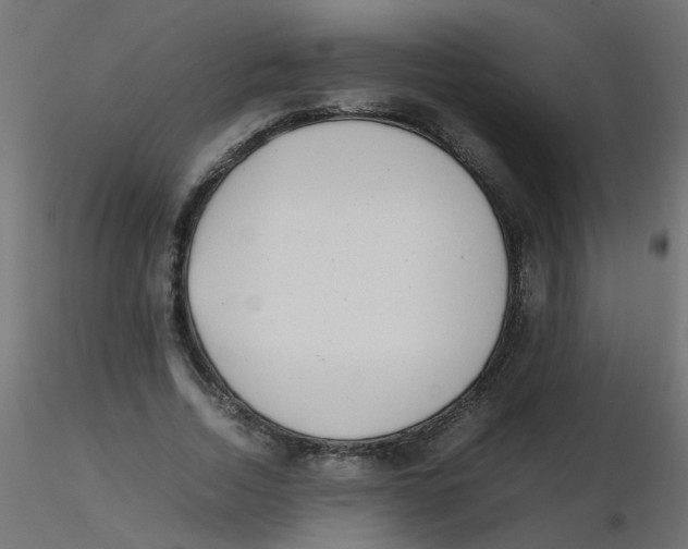 X0000116600730200912312056