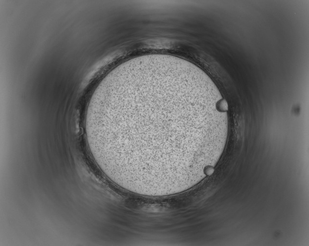 X0000116600731200912312056