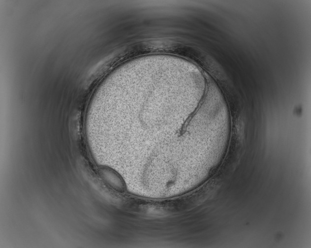 X0000116600733200912312056