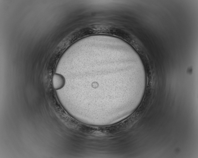 X0000116600737200912312056