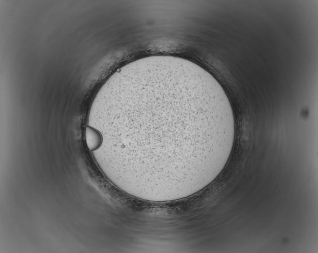 X0000116600738200912312056