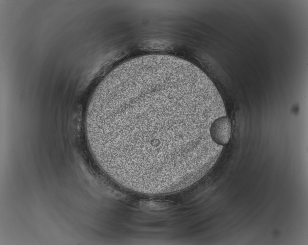 X0000116600739200912312056