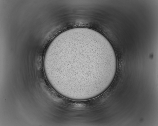 X0000116600741200912312056