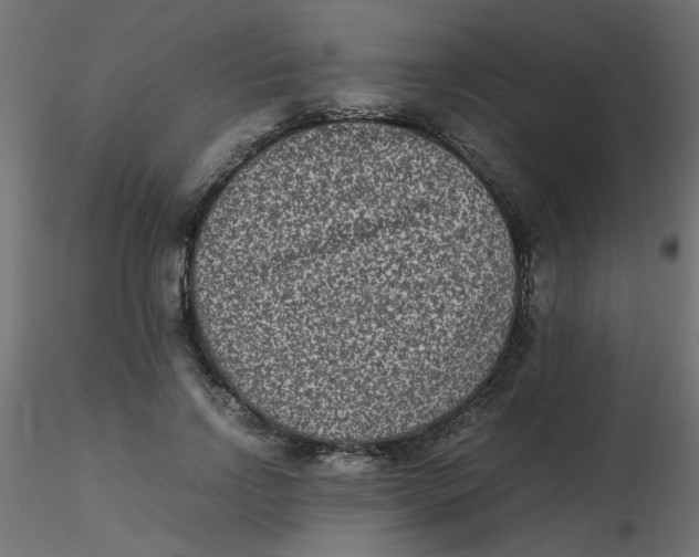 X0000116600742200912312056