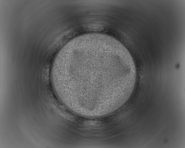 X0000116600745200912312056