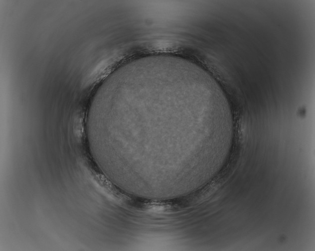 X0000116600746200912312056