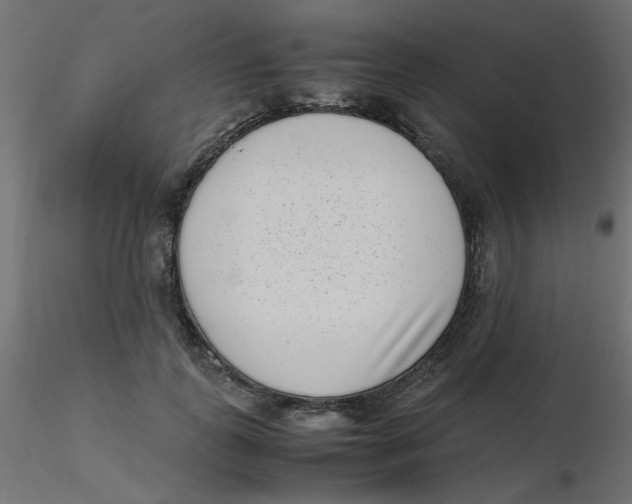 X0000116600747200912312056