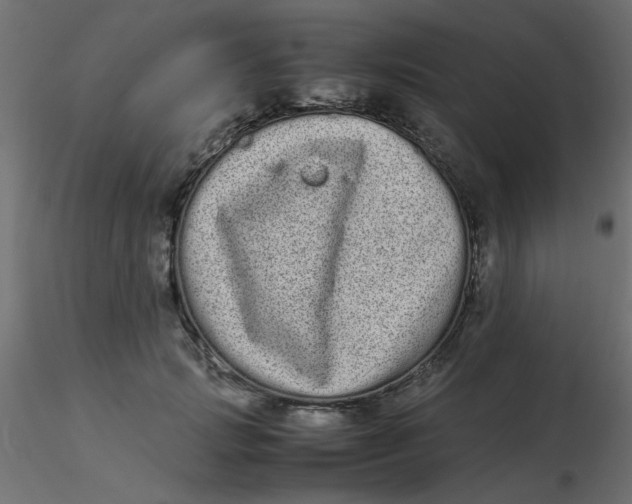 X0000116600749200912312056