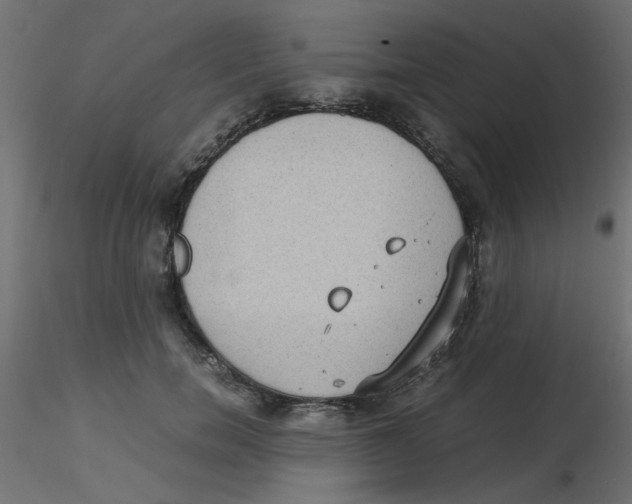 X0000116600750200912312056