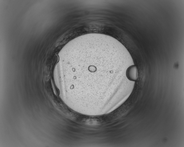 X0000116600751200912312057