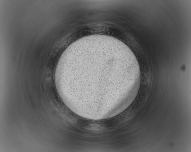 X0000116600753200912312057