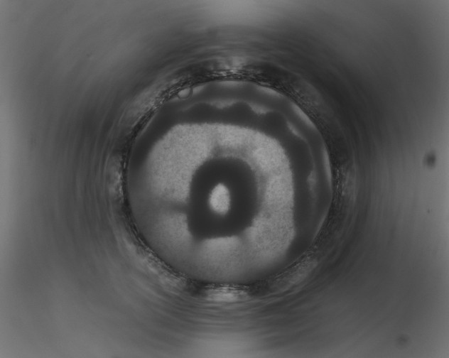 X0000116600754200912312057