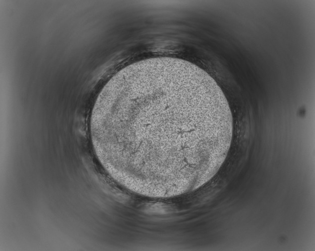 X0000116600755200912312057