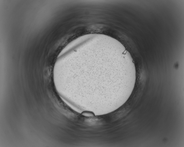 X0000116600759200912312057