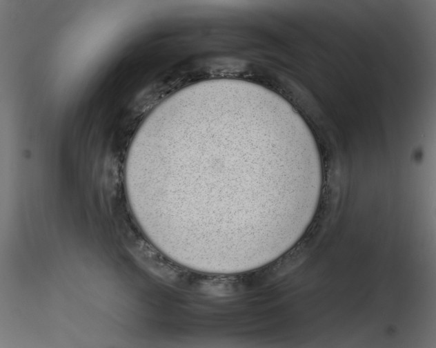 X0000116600761200912312057