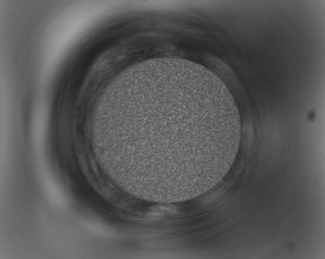 X0000116600765200912312057