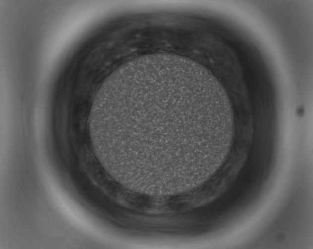 X0000116600766200912312057