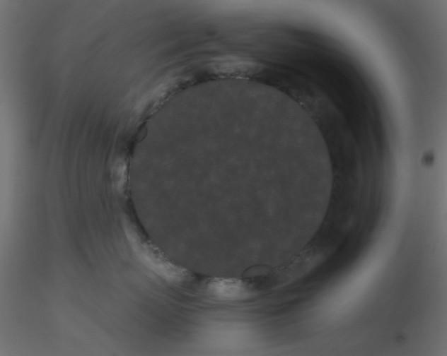 X0000116600767200912312057