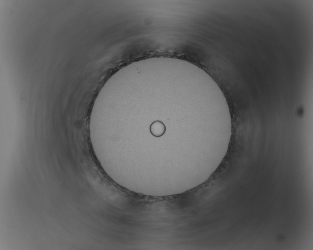 X0000116600769200912312056