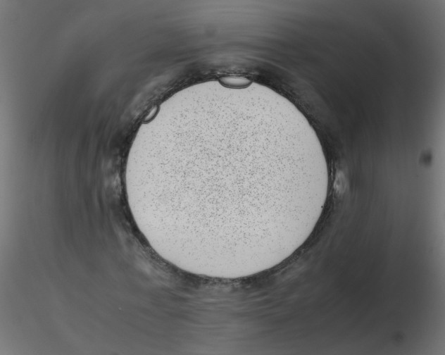 X0000116600771200912312056