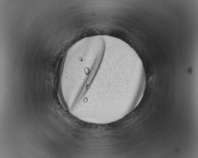 X0000116600772200912312056