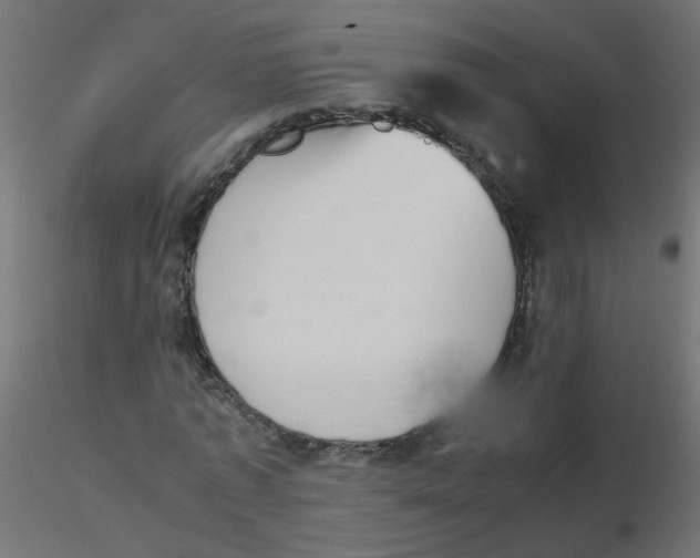 X0000116600773200912312056