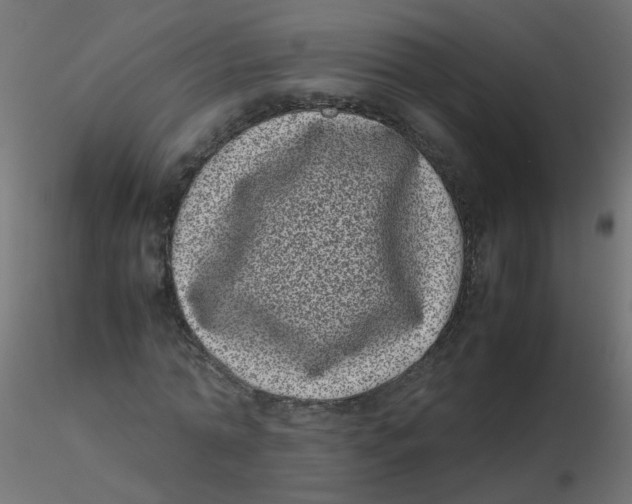 X0000116600774200912312056