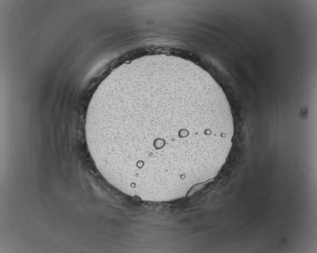 X0000116600775200912312056