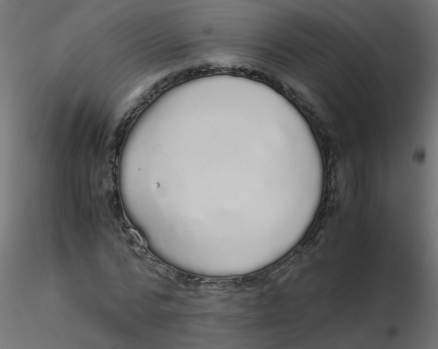 X0000116600776200912312056