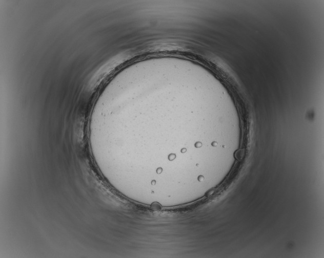 X0000116600777200912312056