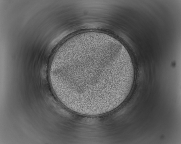 X0000116600778200912312056