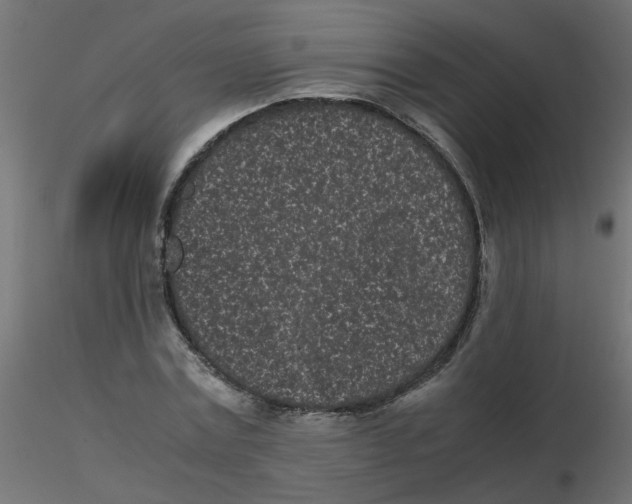 X0000116600779200912312056