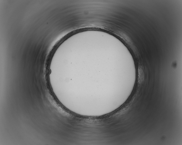 X0000116600780200912312056