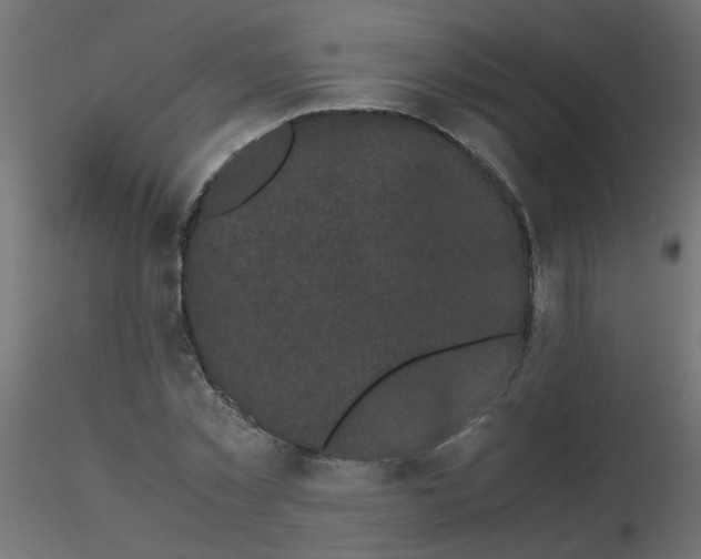 X0000116600781200912312056