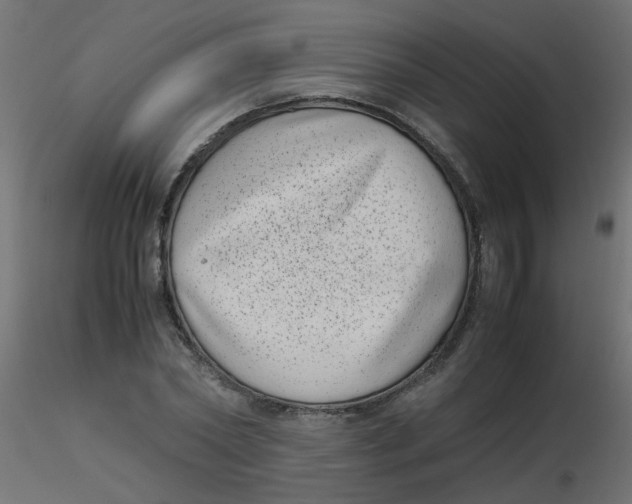 X0000116600782200912312056