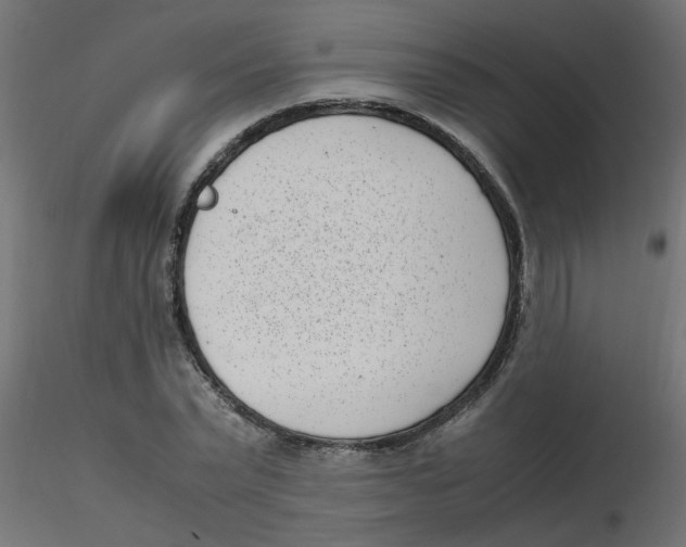 X0000116600783200912312056