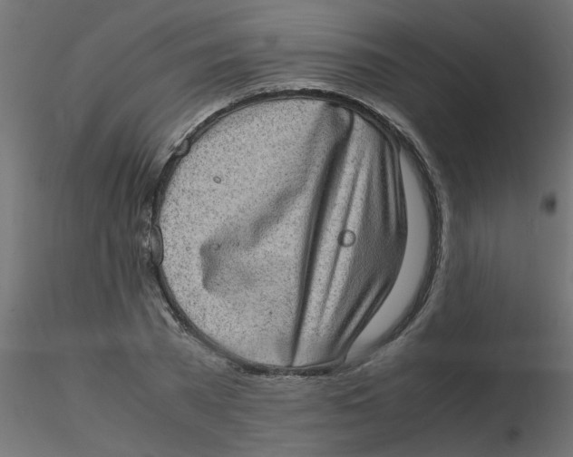 X0000116600785200912312056