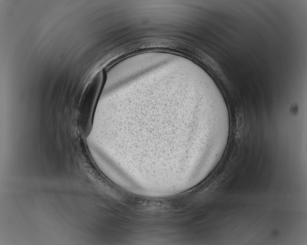 X0000116600786200912312056