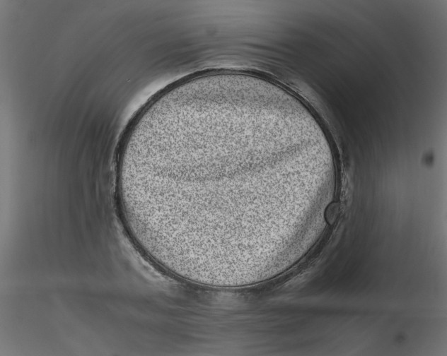 X0000116600787200912312056